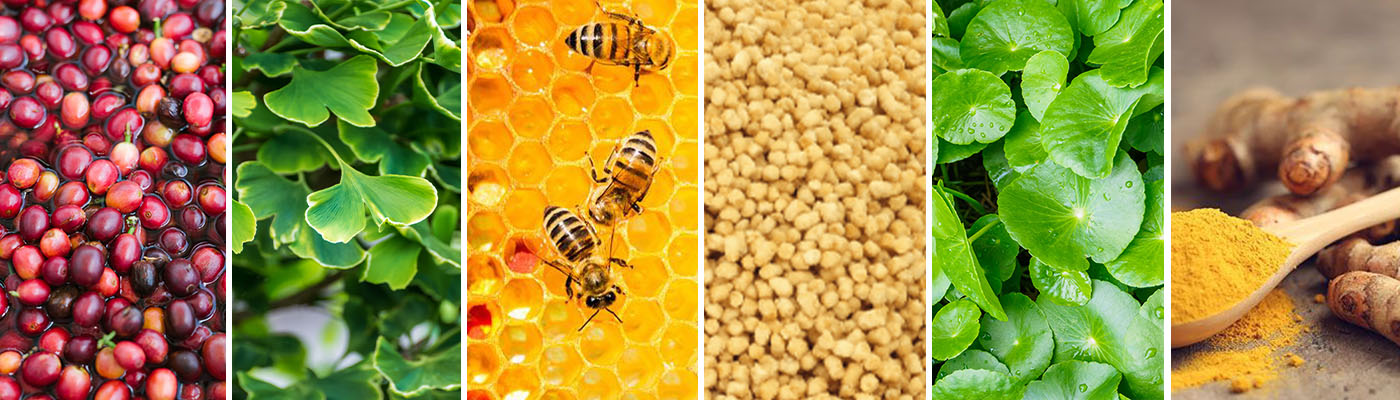 6-neuroq-ingredients-banner