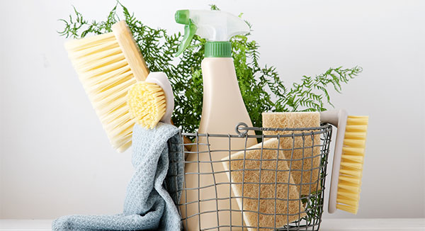 bredesen-7-detox-brain-health